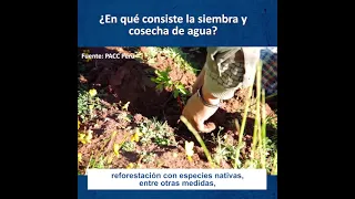 ¿En qué consiste la siembra y cosecha de agua?