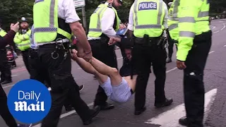 Police carry Extinction Rebellion protesters from Tower Bridge