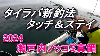 タイラバ新釣法「タッチ&ステイ」　2024瀬戸内ノッコミタイラバ