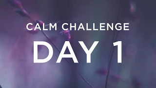 Calm Challenge | Day 1