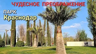 Парк Краснодар - чудесное преображение поражает наше воображение!