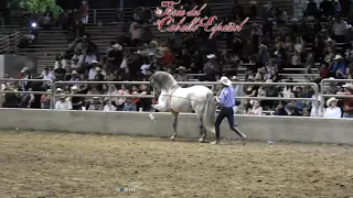 Beto Peña arrendador en la Feria Del Caballo Español mayo 2019