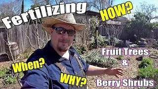 When Is The Best Time To Fertilize Fruit Trees & Berry Shrubs? How Much & How Often?