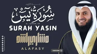 Surah Yaseen | Surah Yaseen by Sheikh Mishari Bin Rashid Alafasy | سورہ یس |