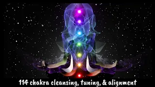 114 CHAKRA CLEANSING, TUNING, & ALIGNMENT * activates QUANTUM SHIFT