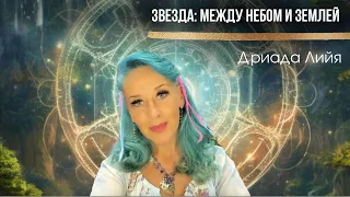 Звезда  -   между небом и землей