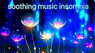 Crickets and swamp sounds for a peaceful night's sleep and meditation