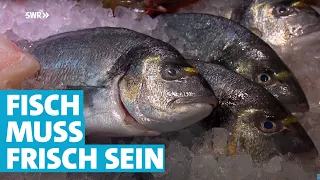 Wie der Fisch auf den Teller kommt