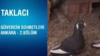 Taklacı - Güvercin Sohbetleri / Ankara - 2.Bölüm