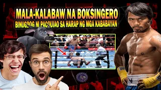 👊🇵🇭BUGBOG ANG INABOT KAY PACQUIAO SA HAMBOG AT WALANG TALONG BOKSINGERO PERO RESULTA IKINAGULAT