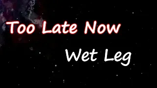 Wet Leg - Too Late Now (Lyrics)