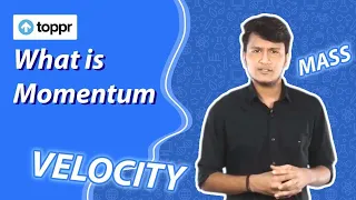 What is Momentum | Toppr