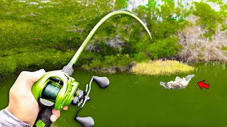 Fishing BIG Swimbaits for 15lb Bass in HIDDEN Trophy Pond!