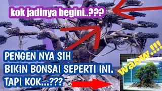 Tutorial dan Cara membuat bonsai aquascape