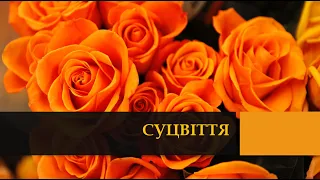 Відео-урок "Суцвіття" Біологія 6 клас.