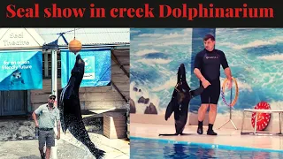 Seal Show in Dubai | Dubai Dolphinarium at Creek Park |  Dubai Dolphinarium Offer and Discount