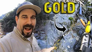 Remote Forgotten Canyon In California - How Much Gold Can We Find?