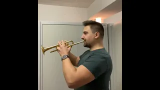 Piccolo Trumpet Routine on Ricco Kühn T304S