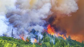 Тайга полыхает огнем. Тысячи гектаров в Магаданской области охвачены пожарами