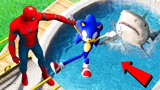 GTA 5 Water Ragdolls Spiderman vs Team Sonic Jumps/Fails #105 (Euphoria physics Funny Moments)