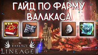 ГАЙД КАК ФАРМИТЬ ВАЛАКАСА lineage 2 essence храм валакаса лучший фарм для средних игроков