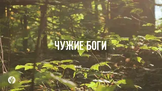 ЧУЖИЕ БОГИ | Ежедневное христианское чтение | 8   июня 2024