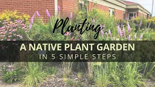 Plant a native plant garden in five simple steps.