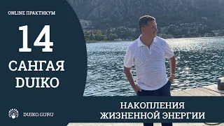 САНГАЯ 14 Андрея Дуйко - Жизненная энергия - Отрывок из практикума @Duiko ​