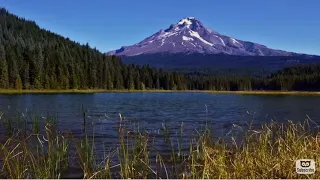 Mountain Lake Ambience Relaxing Nature Sounds Birds Singing Lapping Water Soothing Wind 10 hours