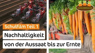 Schulfilm Teil 1: Möhren - Superfood für eine nachhaltige Zukunft | Von der Aussaat bis zur Ernte