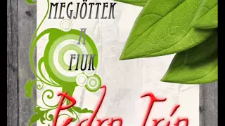 Pedro Trio - Megjöttek a fiuk