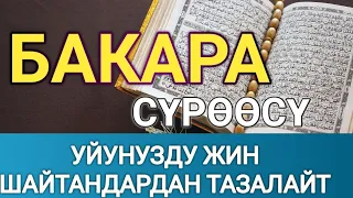 БАКАРА СҮРӨӨСҮ-УЙУНУЗДУ ЖИН ШАЙТАНДАРДАН ТАЗАЛАЙТ🎧