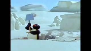 PINGU KOPLE JAMO sinhronizirano