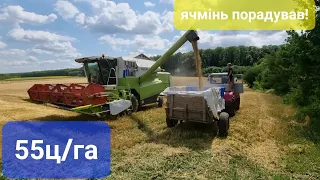 ЖНИВА 2022 || Ярий ячмінь Гулівер