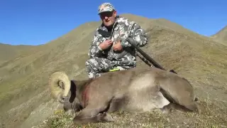 Chukotka Snow Sheep hunting in Russia with ProfiHunt 2016
