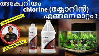 How To Remove  Chlorine from Tap Water for Aquariums: Using Seachem Prime Malayalam