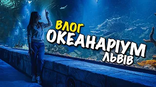 ОКЕАНАРІУМ ЛЬВІВ | АКУЛИ | СКАТИ | ТУНЕЛЬ ПІД АКВАРІУМОМ | OCEANARIUM LVIV | BABY SHARK | VLOG