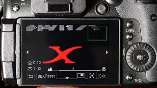 Showing the new x20 magnification MF assist mode in the Lumix G9 and GH5