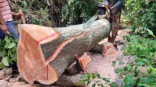 Chainsaw operator skills in making frame material measuring 7 cm × 14 cm using a chainsaw