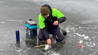 Карасі монстри крадуть вудочки