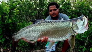 MASSIVE TARPON (cuffum) FISHING in GEORGETOWN GUYANA.