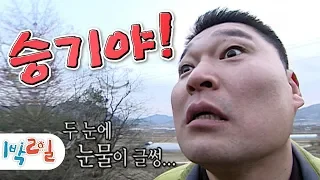 [1박2일 시즌1 29회-2][전남구례] 표정, 목소리, 앵글 모든 게 완벽했다.. 그렇게 전설의 짤이 탄생했다... 씅기야!!!