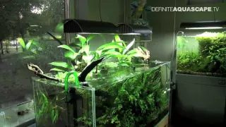 Nature Aquarium Academy - part 1