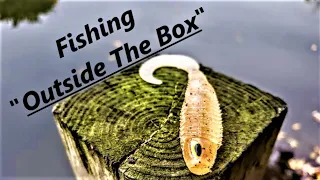 Rigging Fishing Plastics, Think OUTSIDE The Box | Chasebaits Curly Tail Grub
