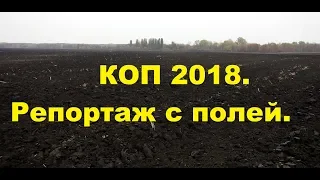 КОП Репортаж с полей