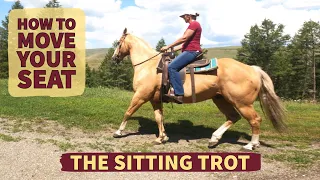 THE SITTING TROT/HOW TO MOVE YOUR SEAT
