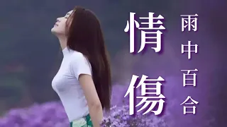 《 情傷 》演唱：雨中百合