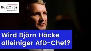 Wird Björn Höcke jetzt alleiniger AfD-Parteichef?