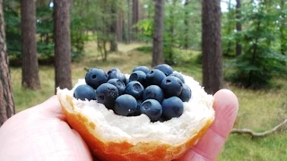 How to get the freshest blueberry sweetbun - PRAWDZIWA JAGODZIANKA!!!