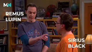 Big Bang Theory Quotes As Harry Potter Characters